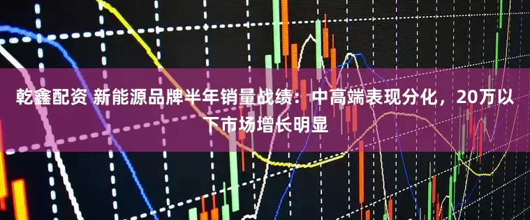 乾鑫配资 新能源品牌半年销量战绩：中高端表现分化，20万以下市场增长明显