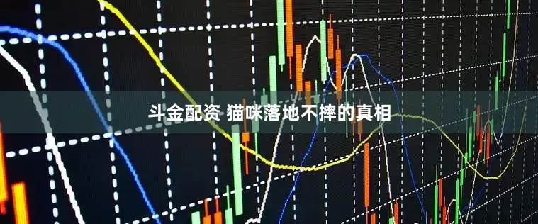 斗金配资 猫咪落地不摔的真相