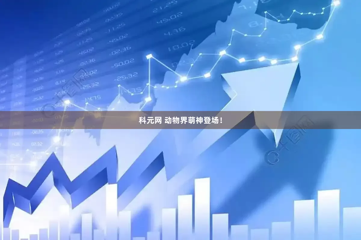 科元网 动物界萌神登场！