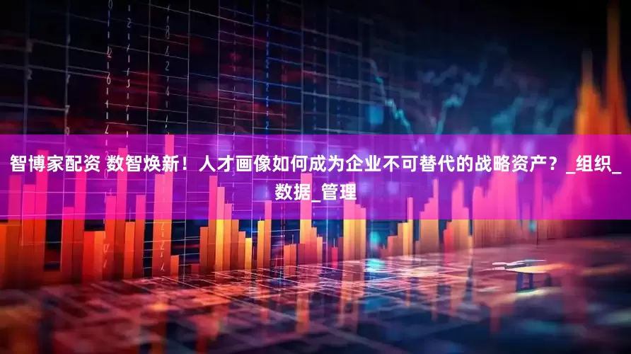 智博家配资 数智焕新！人才画像如何成为企业不可替代的战略资产？_组织_数据_管理