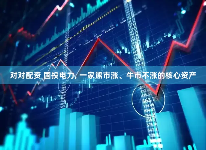 对对配资 国投电力, 一家熊市涨、牛市不涨的核心资产
