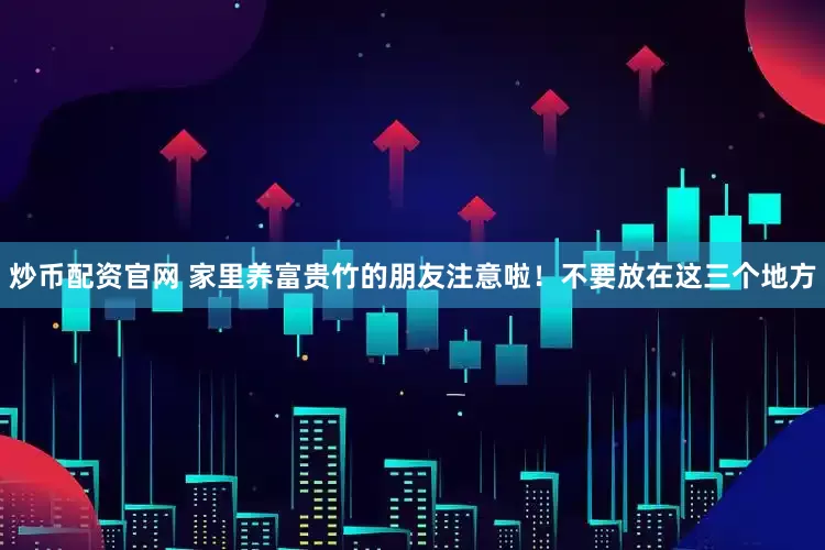 炒币配资官网 家里养富贵竹的朋友注意啦！不要放在这三个地方
