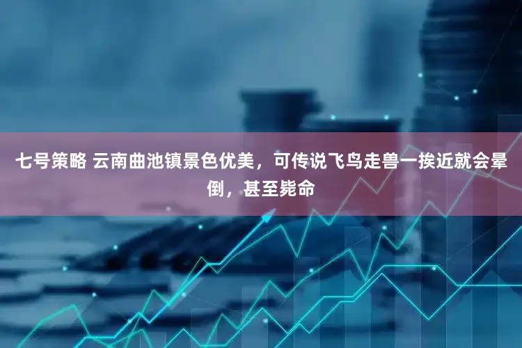 七号策略 云南曲池镇景色优美，可传说飞鸟走兽一挨近就会晕倒，甚至毙命