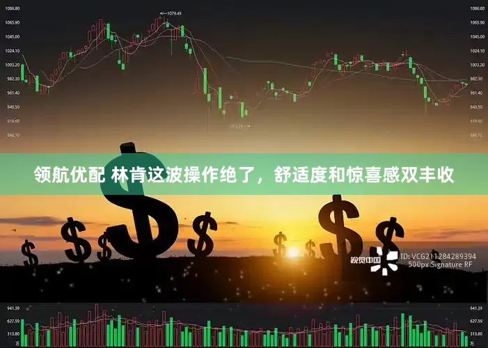 领航优配 林肯这波操作绝了，舒适度和惊喜感双丰收
