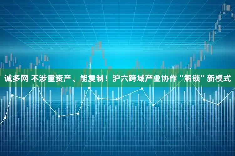 诚多网 不涉重资产、能复制！沪六跨域产业协作“解锁”新模式